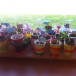 See how they grew!