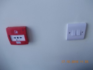DSCN3852