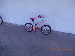 DSCN3860